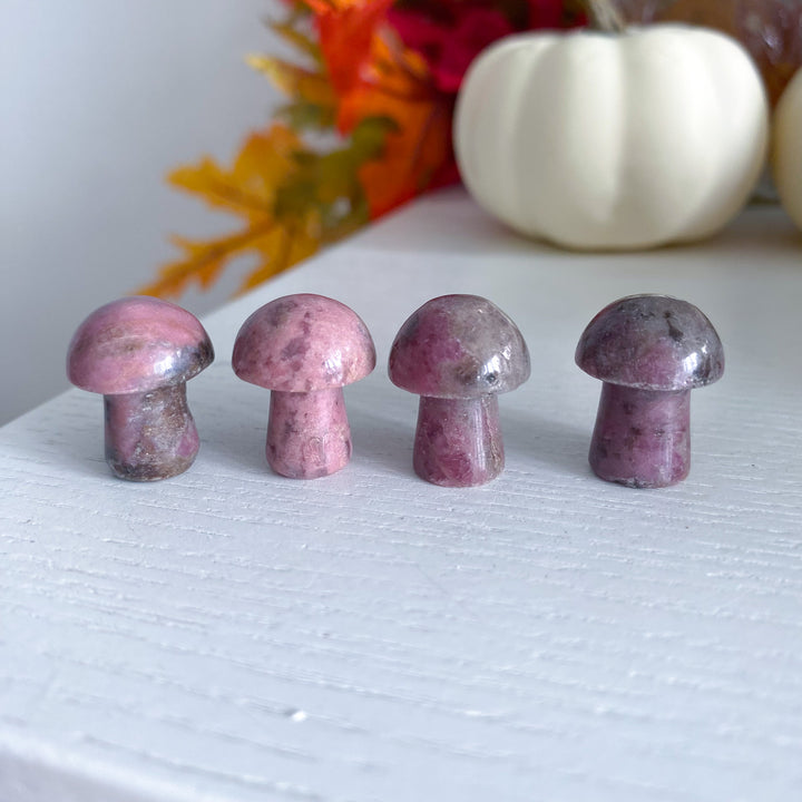 Dark Rhodonite Mini Mushroom