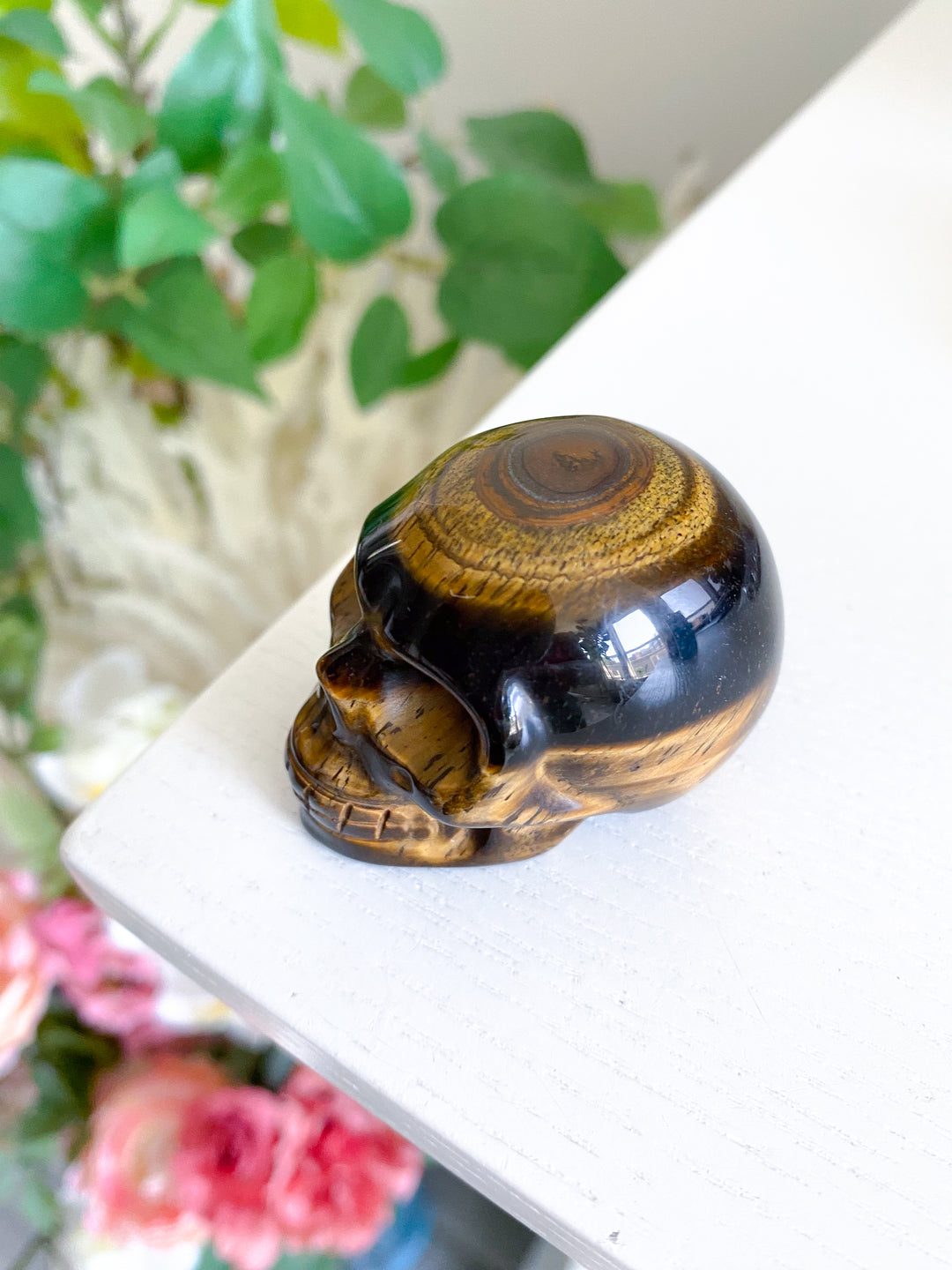 Small Tigers Eye Skull