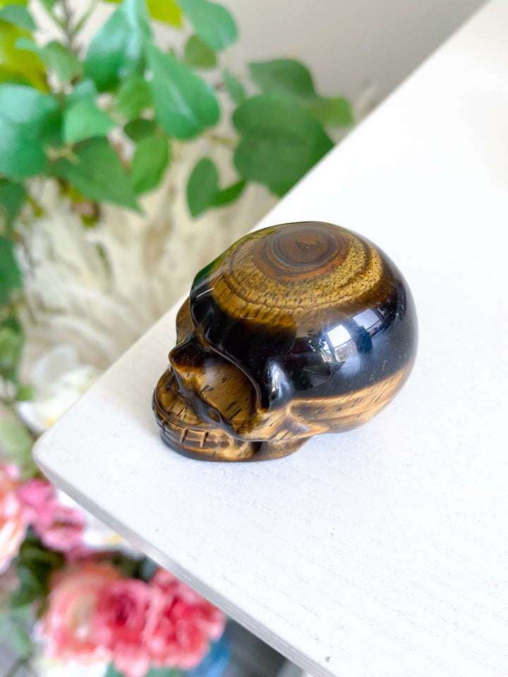 Small Tigers Eye Skull