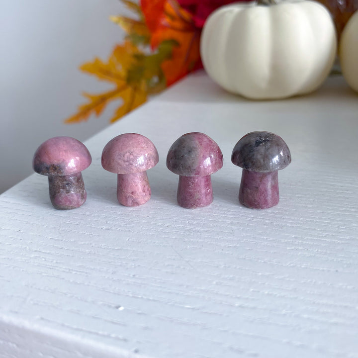 Dark Rhodonite Mini Mushroom
