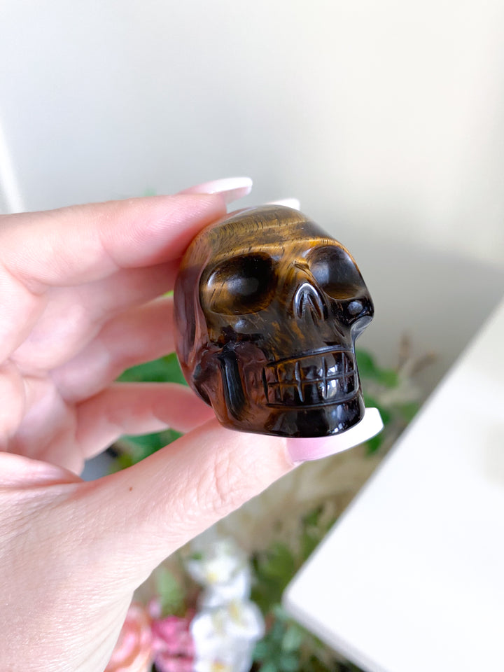 Small Tigers Eye Skull