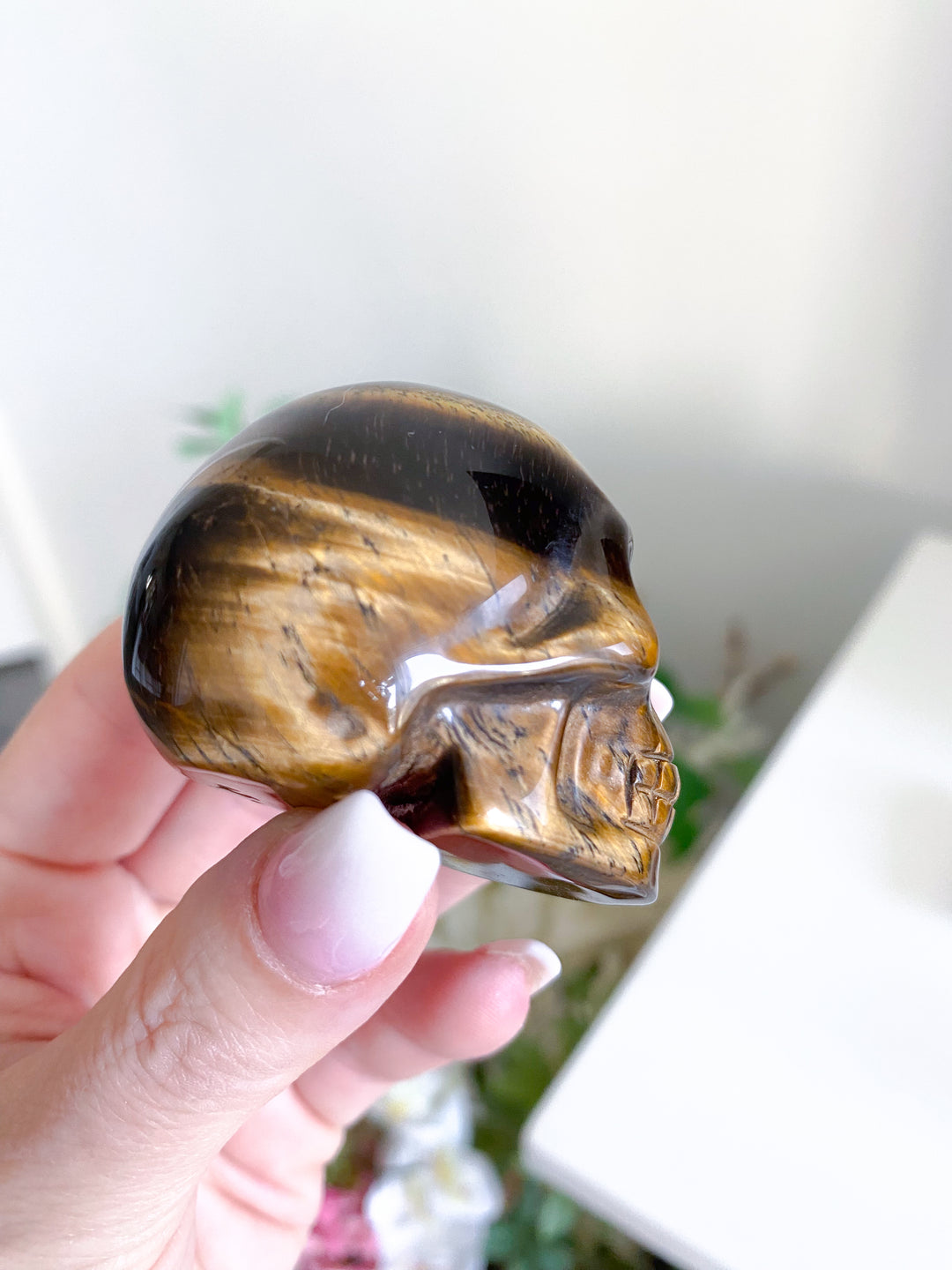 Small Tigers Eye Skull