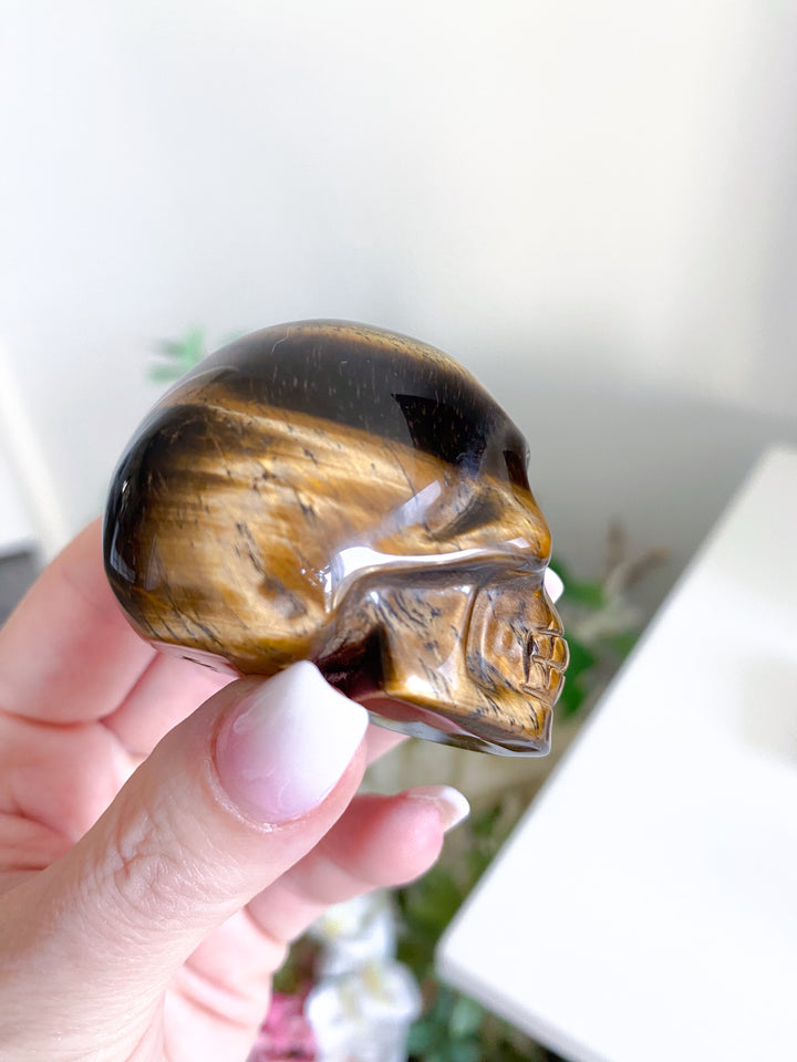 Small Tigers Eye Skull
