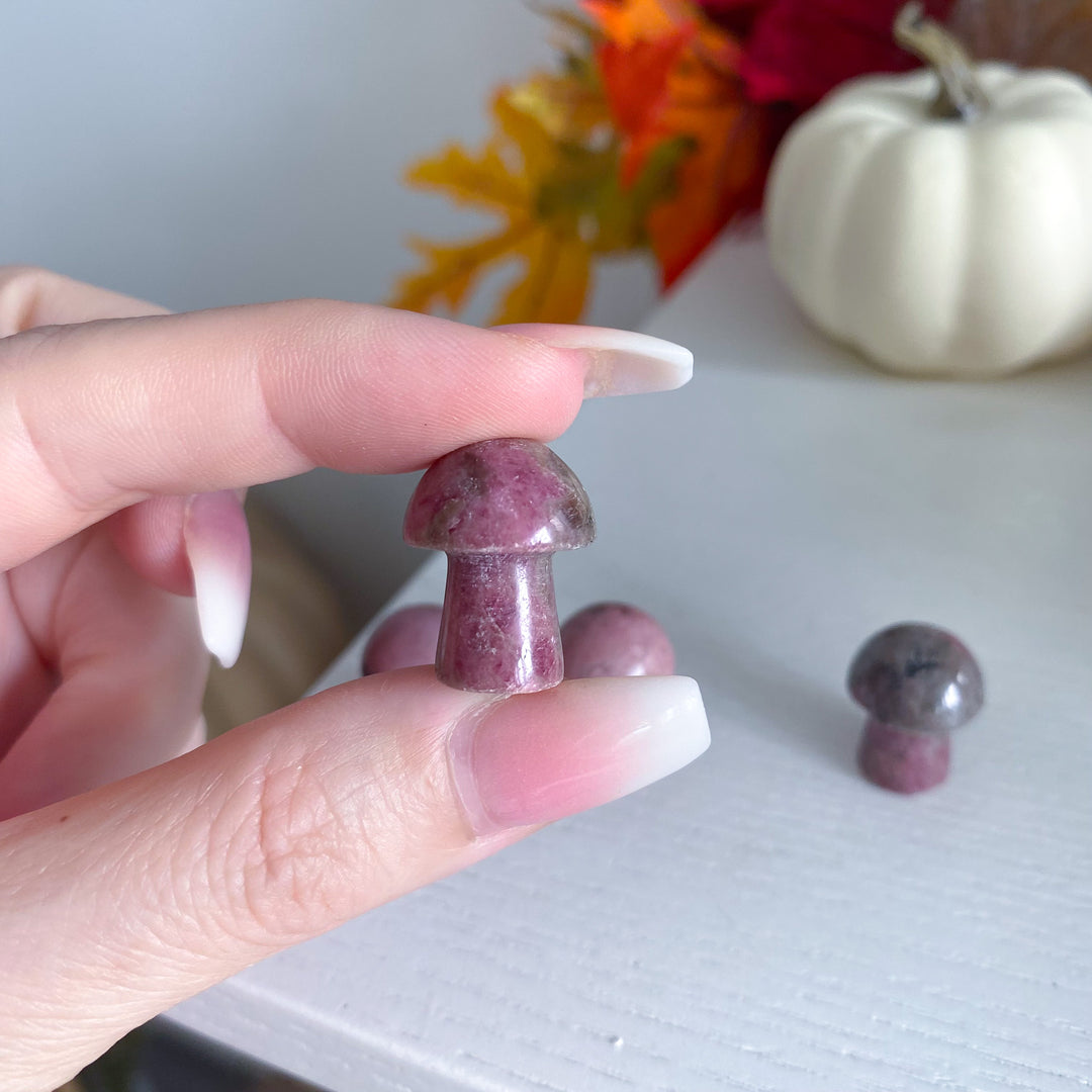 Dark Rhodonite Mini Mushroom