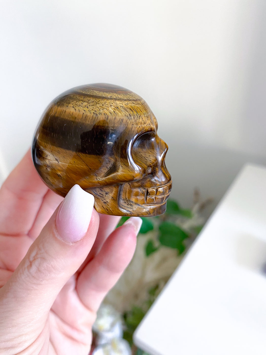 Small Tigers Eye Skull
