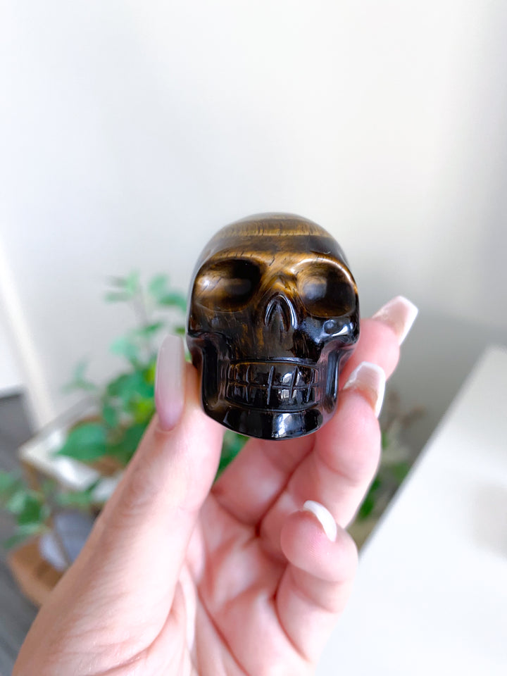 Small Tigers Eye Skull