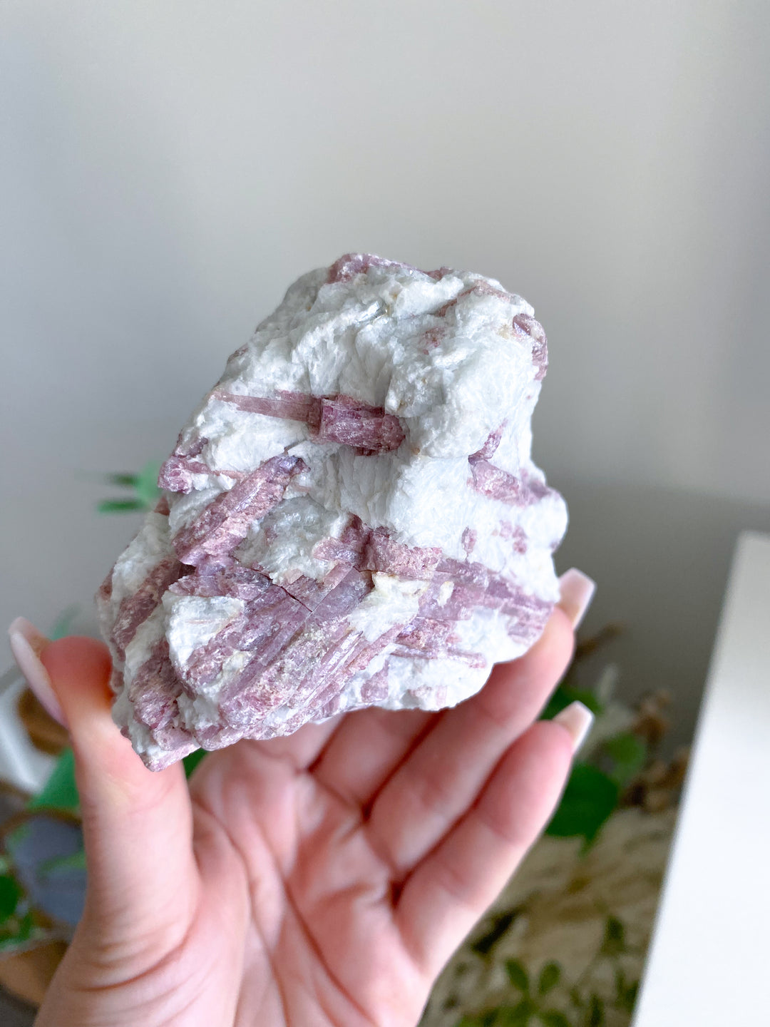 Large Pink Tourmaline in Quartz