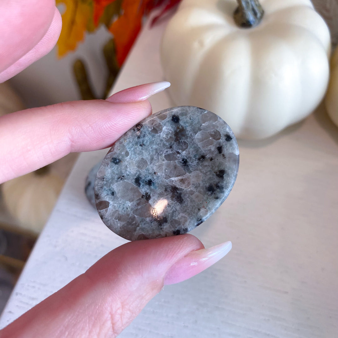 Kiwi Jasper Worry Stone