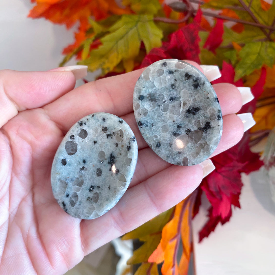 Kiwi Jasper Worry Stone