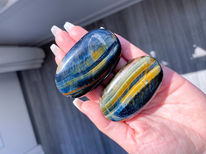 B Quality Blue Tiger Eye Palm