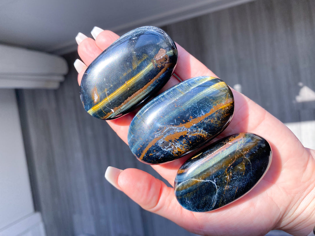 B Quality Blue Tiger Eye Palm
