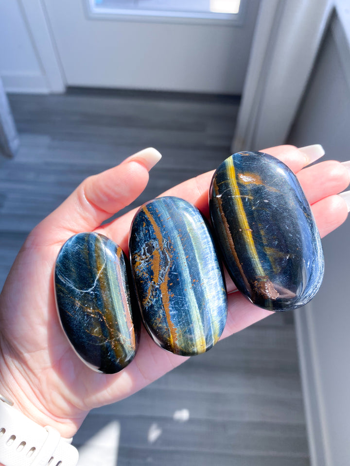 B Quality Blue Tiger Eye Palm