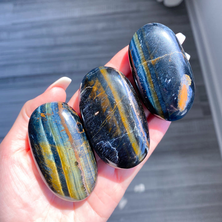 B Quality Blue Tiger Eye Palm