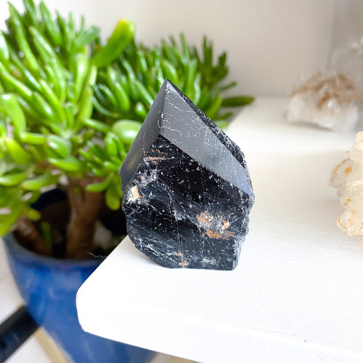 Black Tourmaline Top Polish #11 - Get Exact Crystal Shown