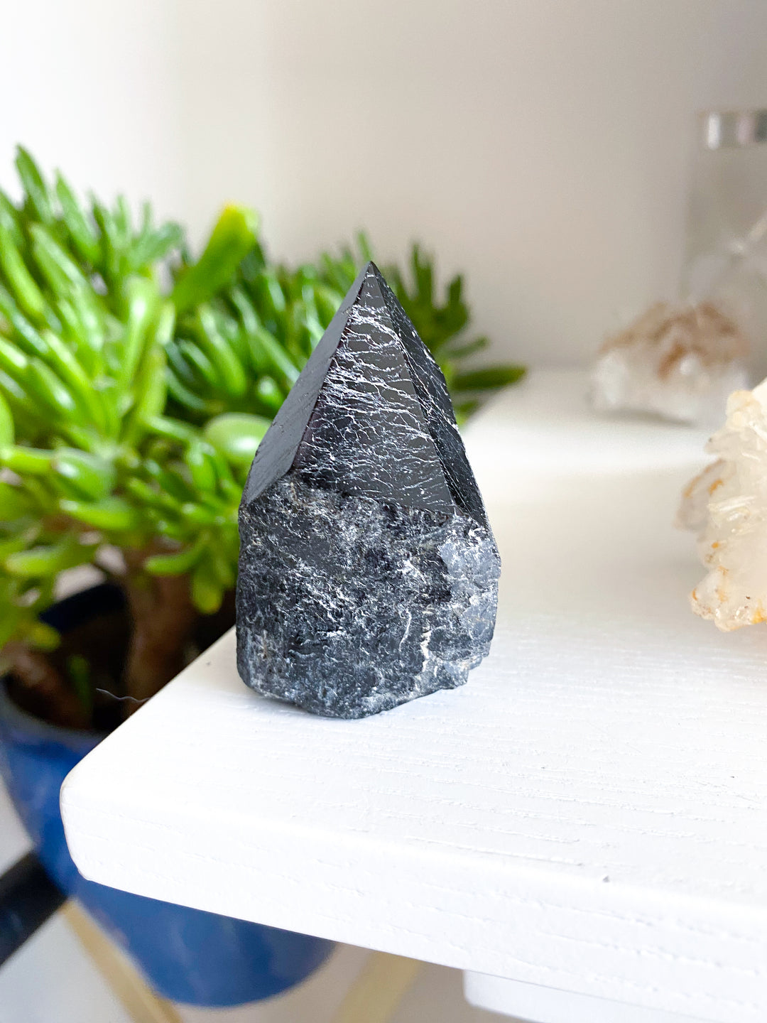 Black Tourmaline Top Polish #11 - Get Exact Crystal Shown