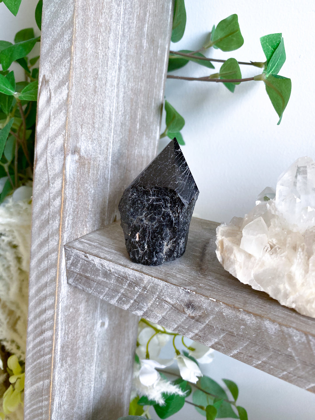 Black Tourmaline Top Polish #11 - Get Exact Crystal Shown