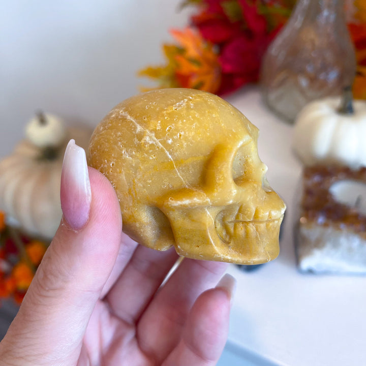 Mystery Crystal Skull