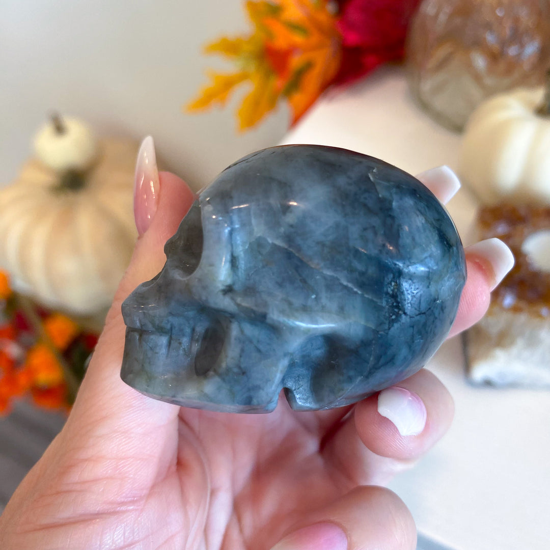 Mystery Crystal Skull
