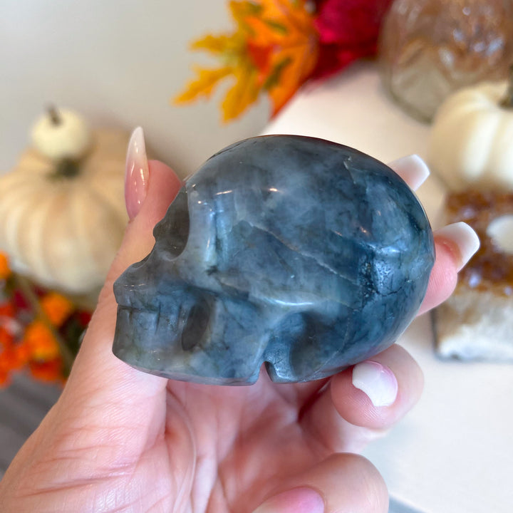 Mystery Crystal Skull
