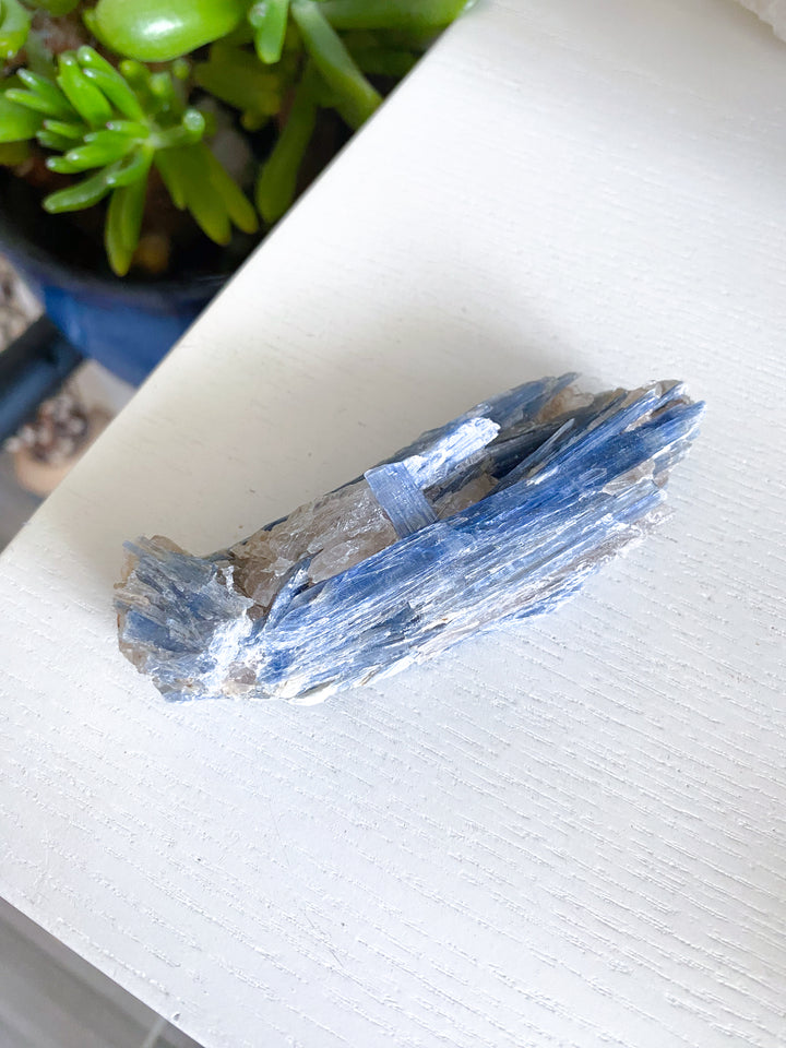 Raw Blue Kyanite - Get Exact Piece