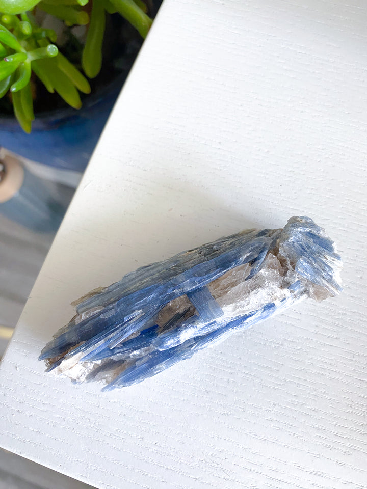 Raw Blue Kyanite - Get Exact Piece