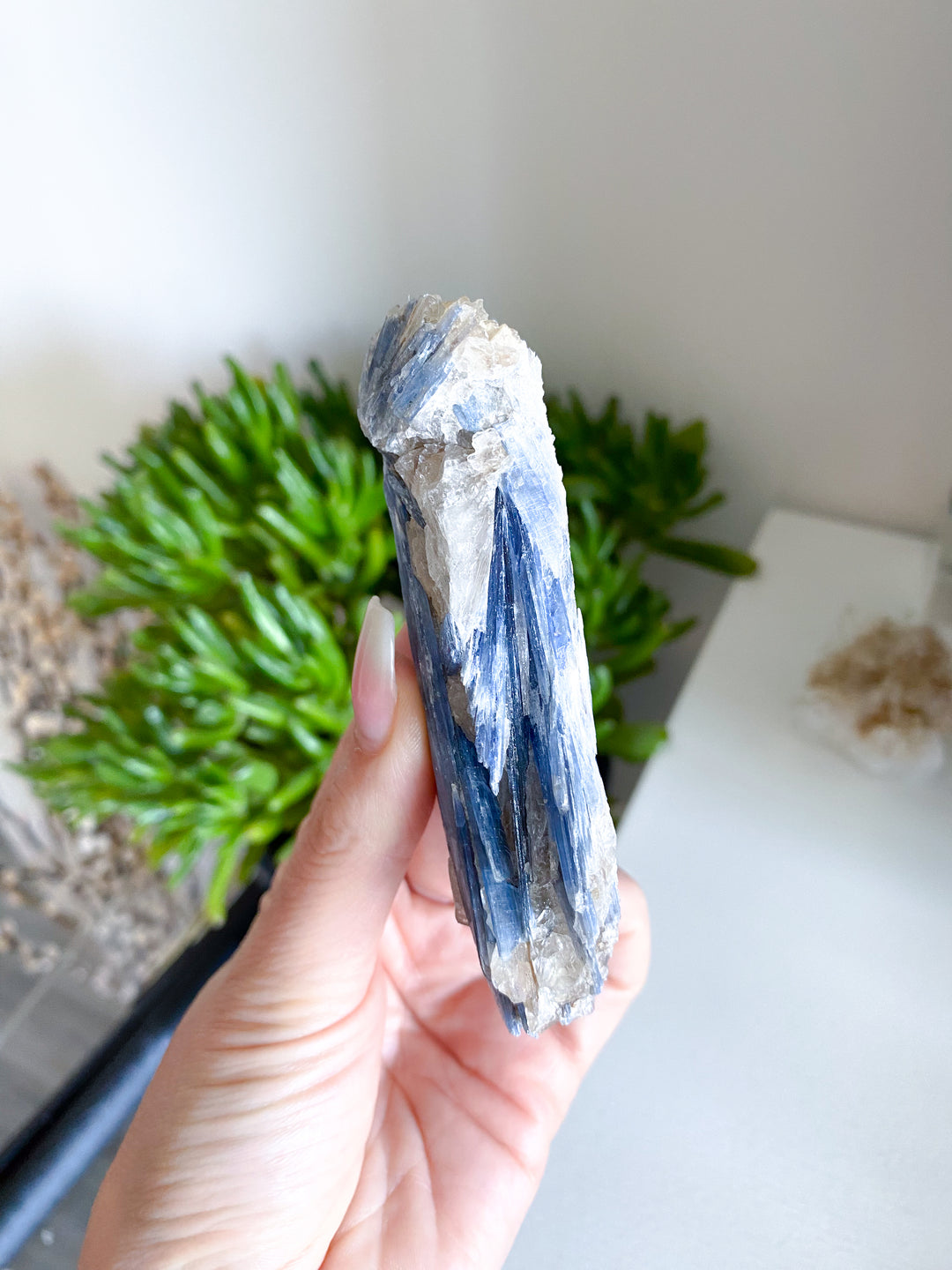 Raw Blue Kyanite - Get Exact Piece