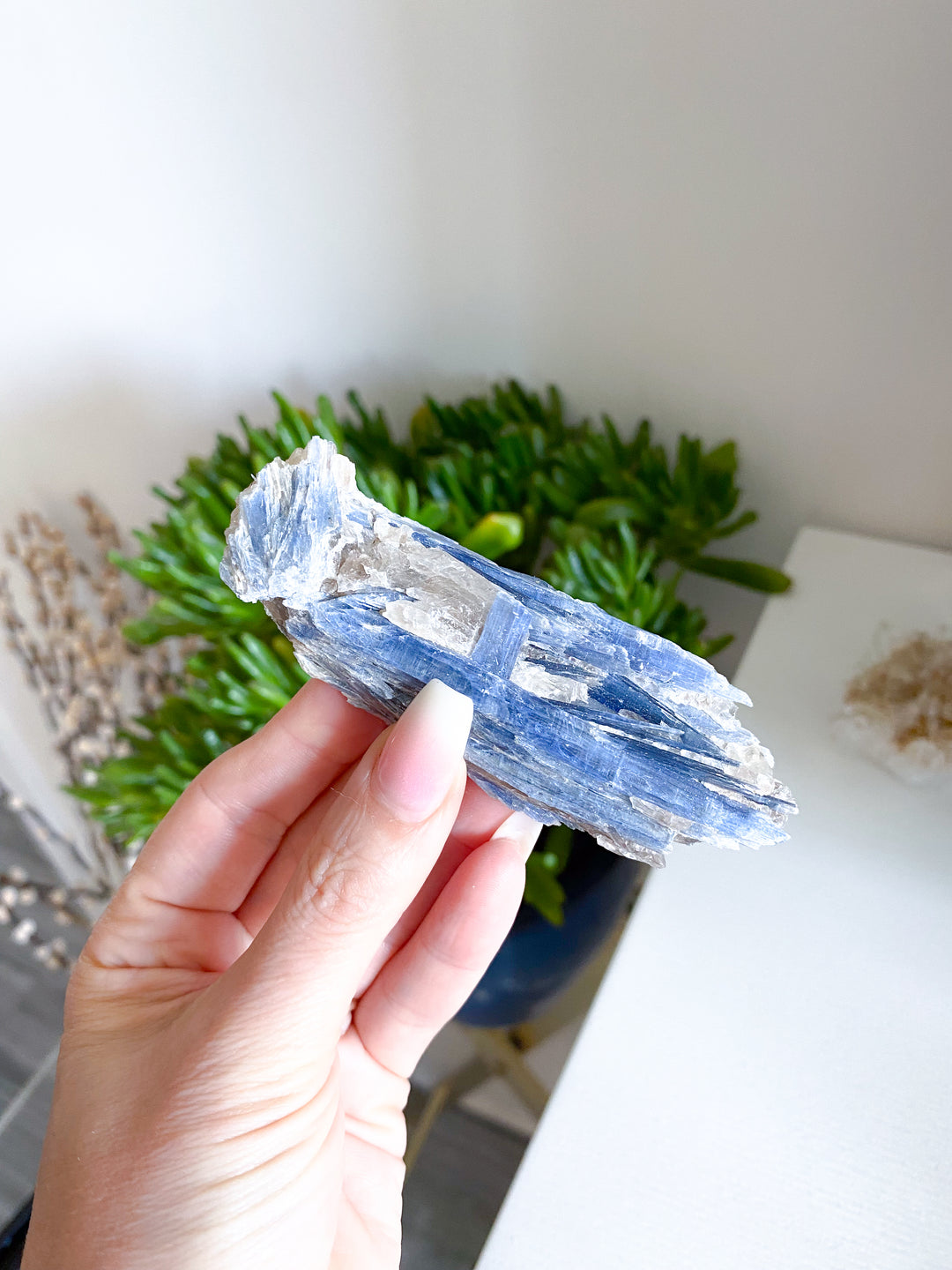 Raw Blue Kyanite - Get Exact Piece