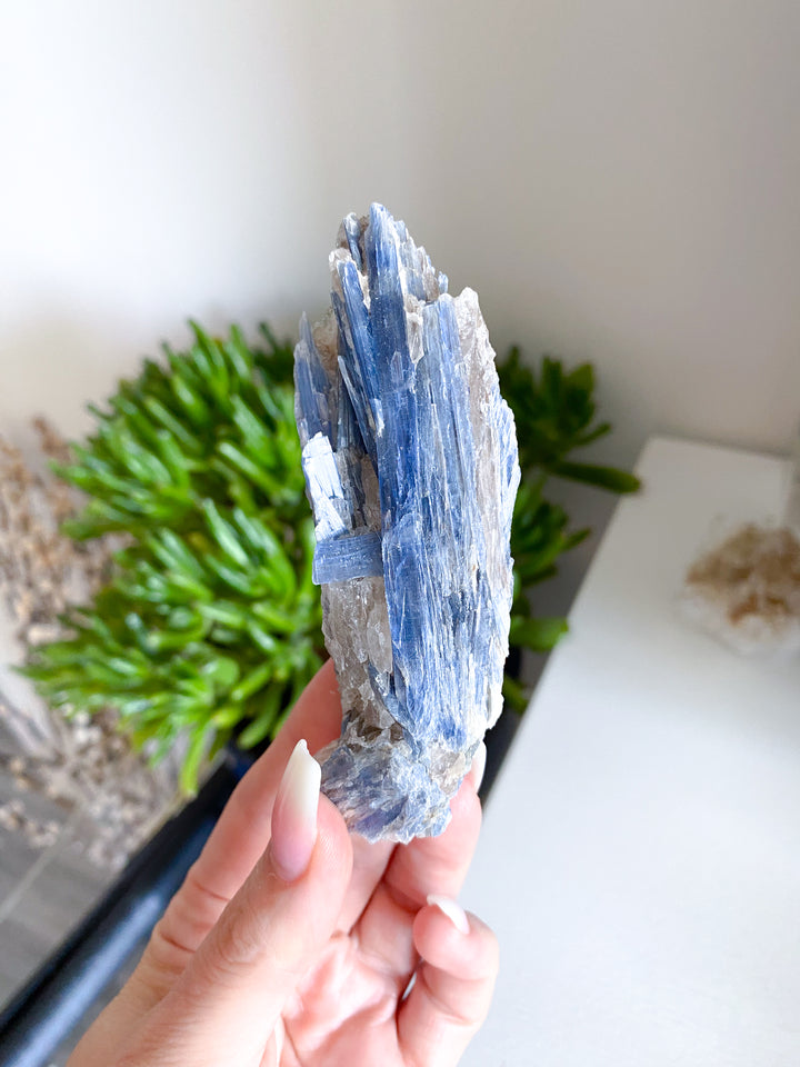 Raw Blue Kyanite - Get Exact Piece