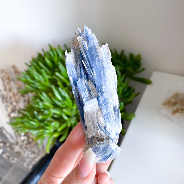 Raw Blue Kyanite - Get Exact Piece