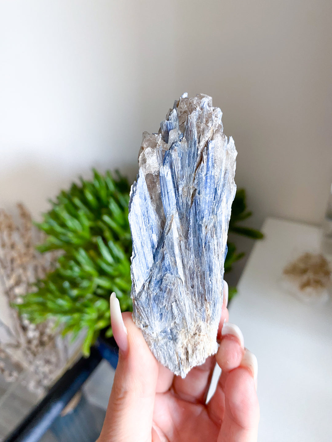 Raw Blue Kyanite - Get Exact Piece