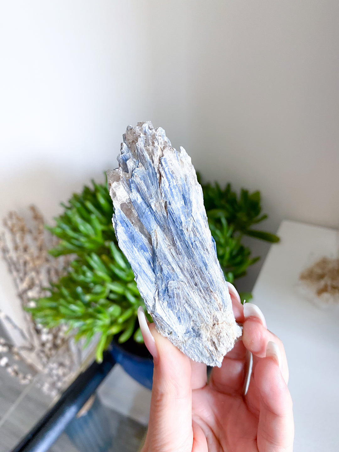 Raw Blue Kyanite - Get Exact Piece