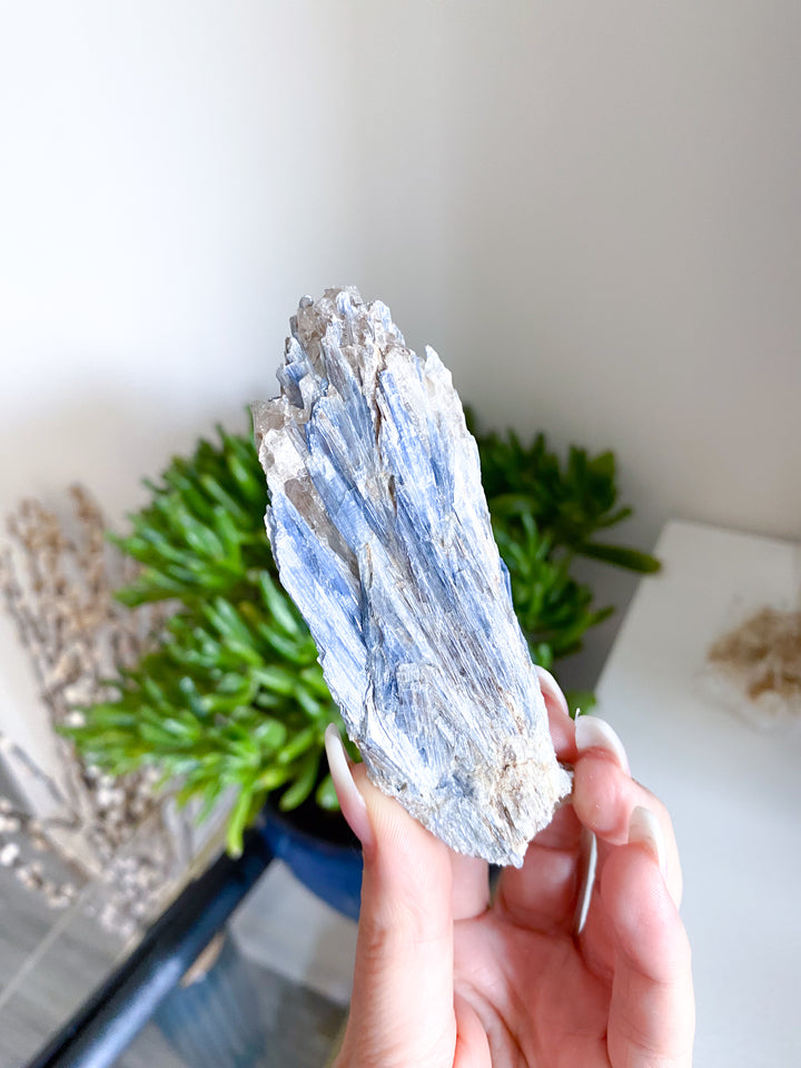 Raw Blue Kyanite - Get Exact Piece