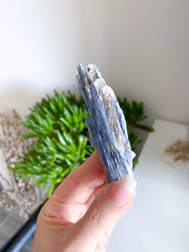 Raw Blue Kyanite - Get Exact Piece