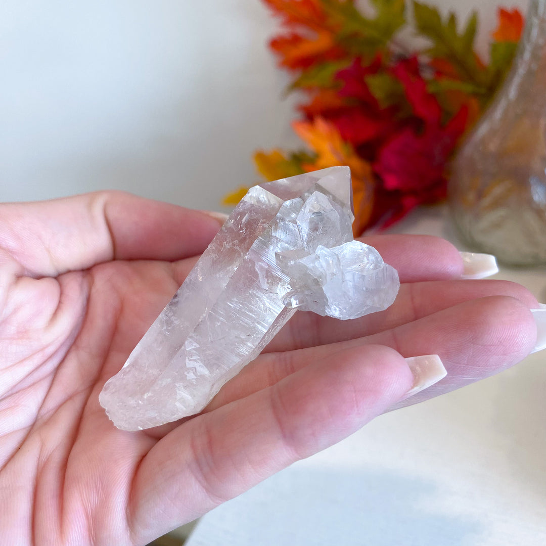 Raw Clear Quartz Cluster 