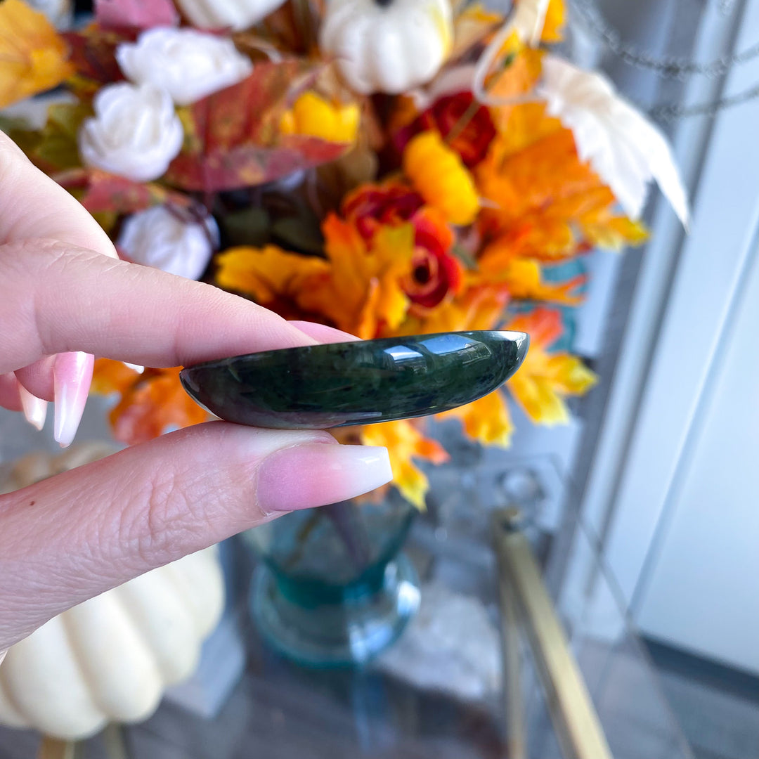 Shiny, Dark, Large Serpentine Worry Stone