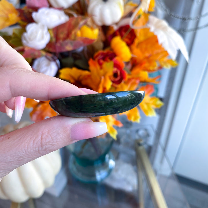 Shiny, Dark, Large Serpentine Worry Stone