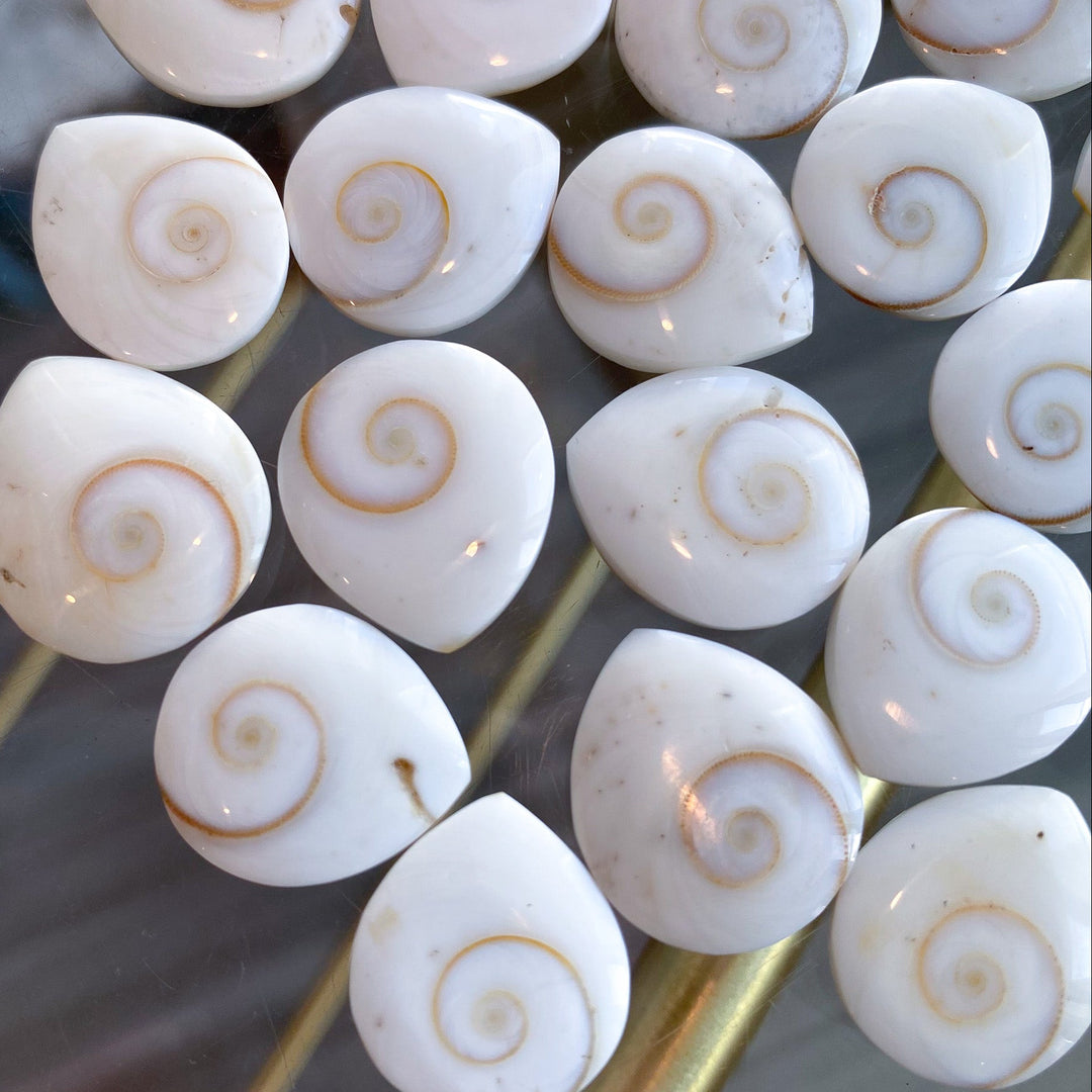 B Quality Shiva Eye Shell