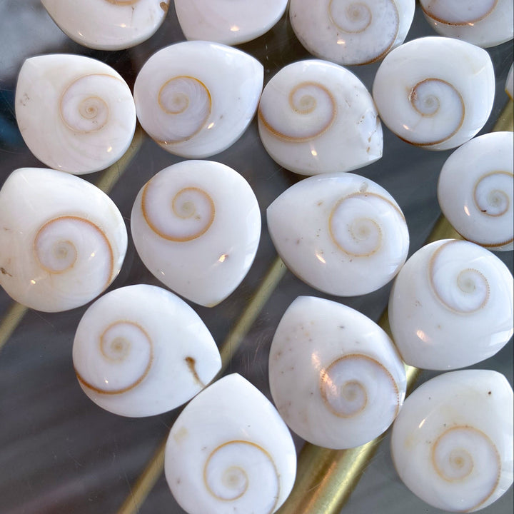 B Quality Shiva Eye Shell