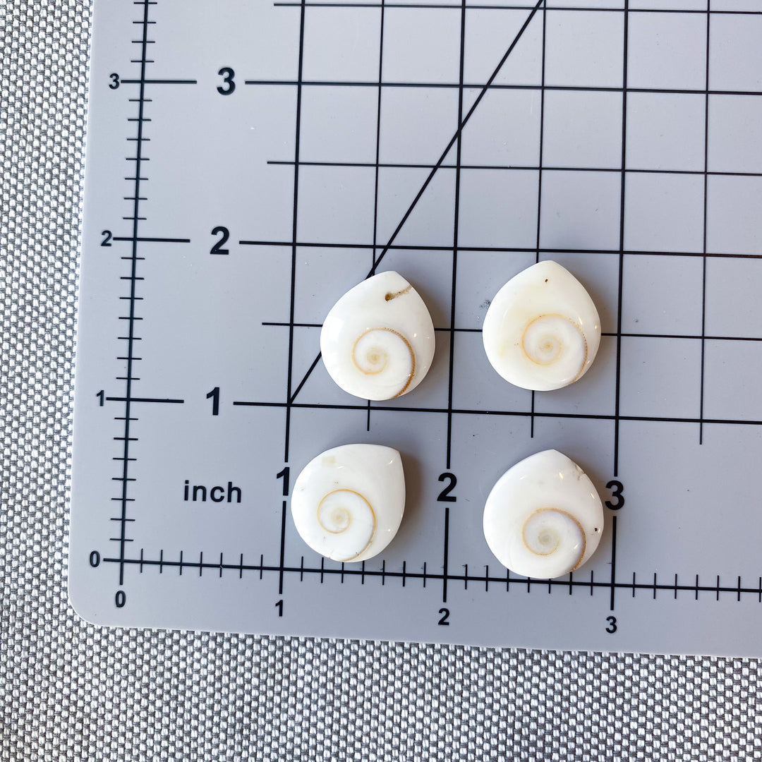B Quality Shiva Eye Shell