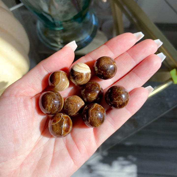Chocolate Calcite Mini Sphere