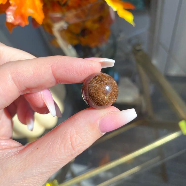Chocolate Calcite Mini Sphere