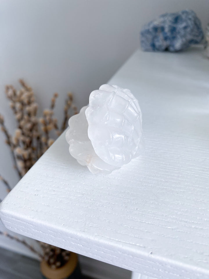 White Quartz Clam Shell #1