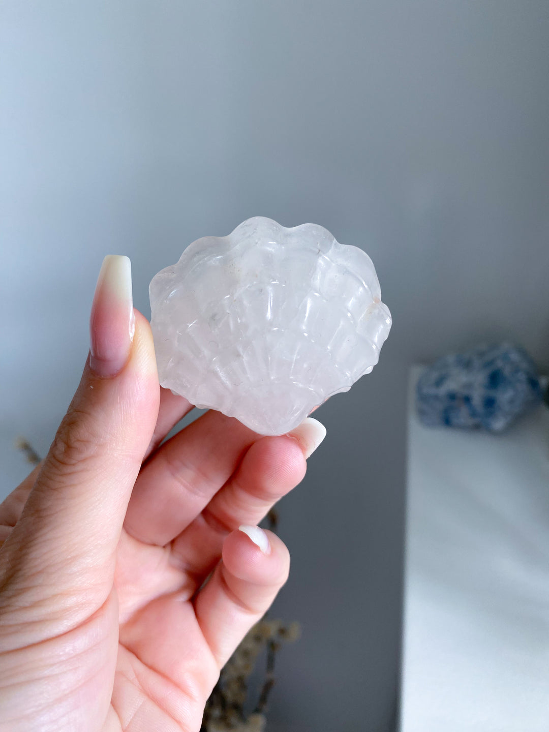White Quartz Clam Shell #1