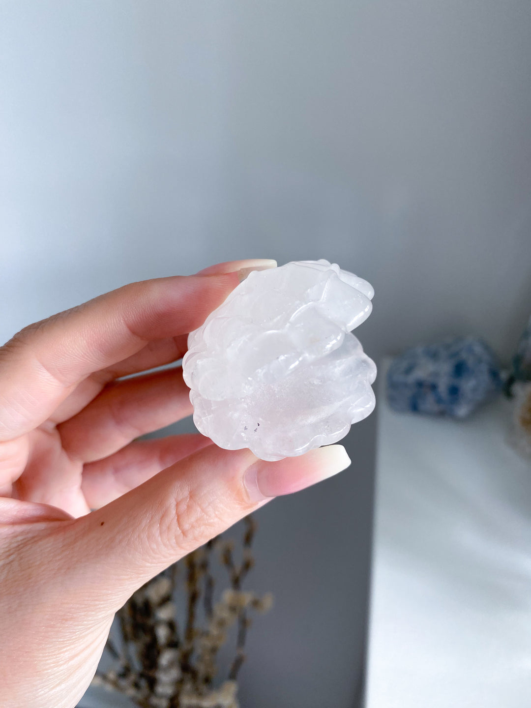 White Quartz Clam Shell #1