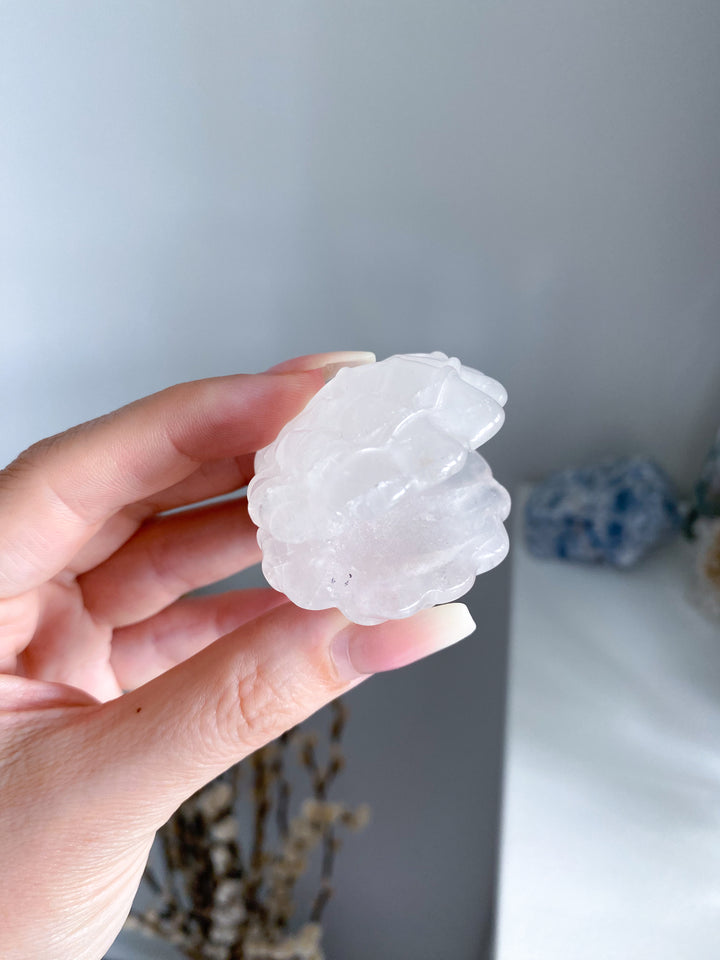 White Quartz Clam Shell #1