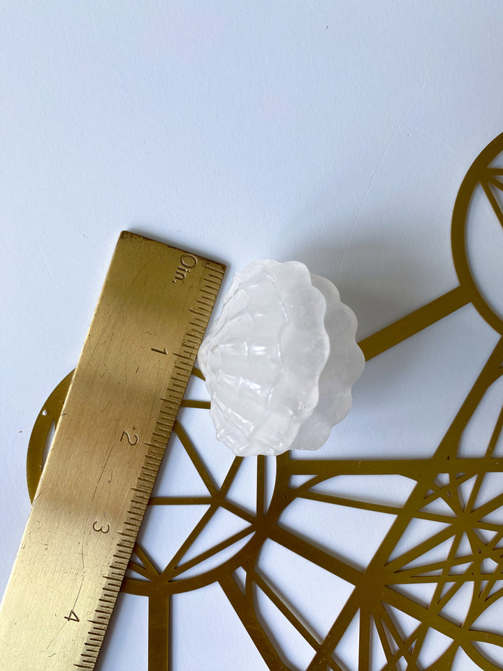 White Quartz Clam Shell #1