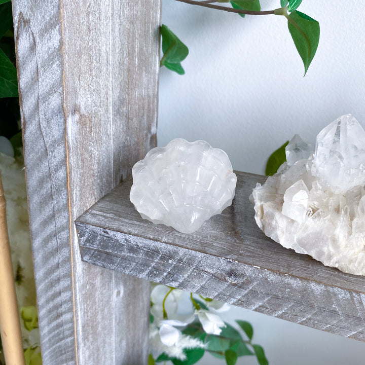 White Quartz Clam Shell #1