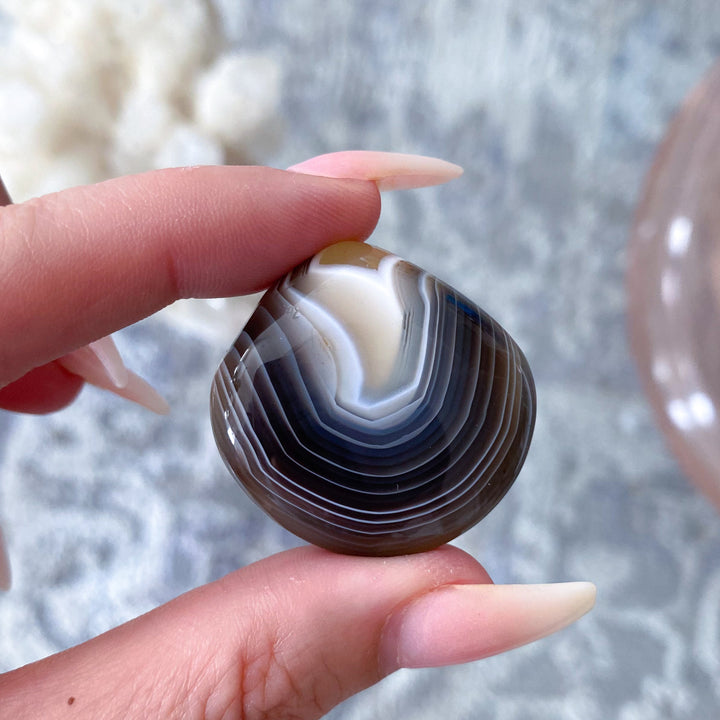 Clam Shape Botswana Agate Pebble - Exact Piece Ships