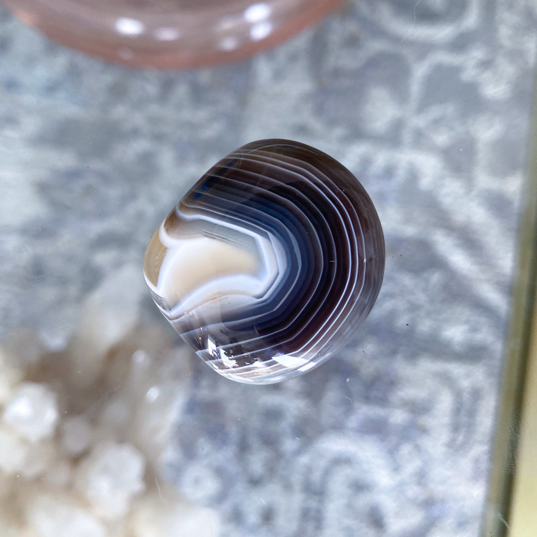 Clam Shape Botswana Agate Pebble - Exact Piece Ships