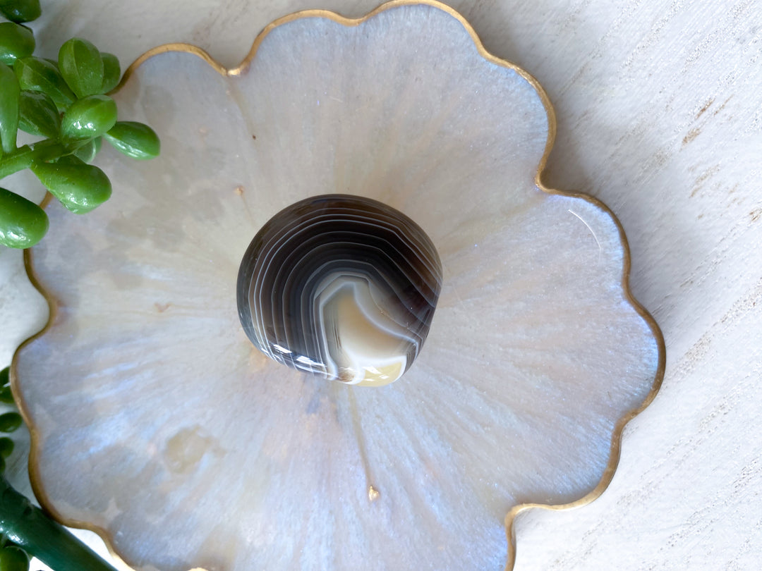 Clam Shape Botswana Agate Pebble - Exact Piece Ships